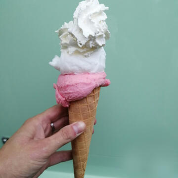 bolletjes ijs tuinfeest